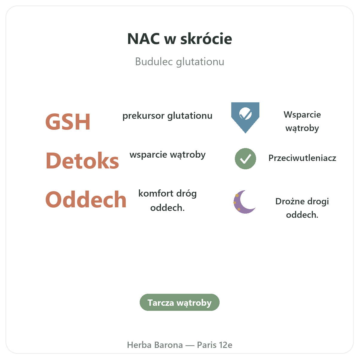 NAC w Polsce w skrócie – kluczowe informacje o ofercie