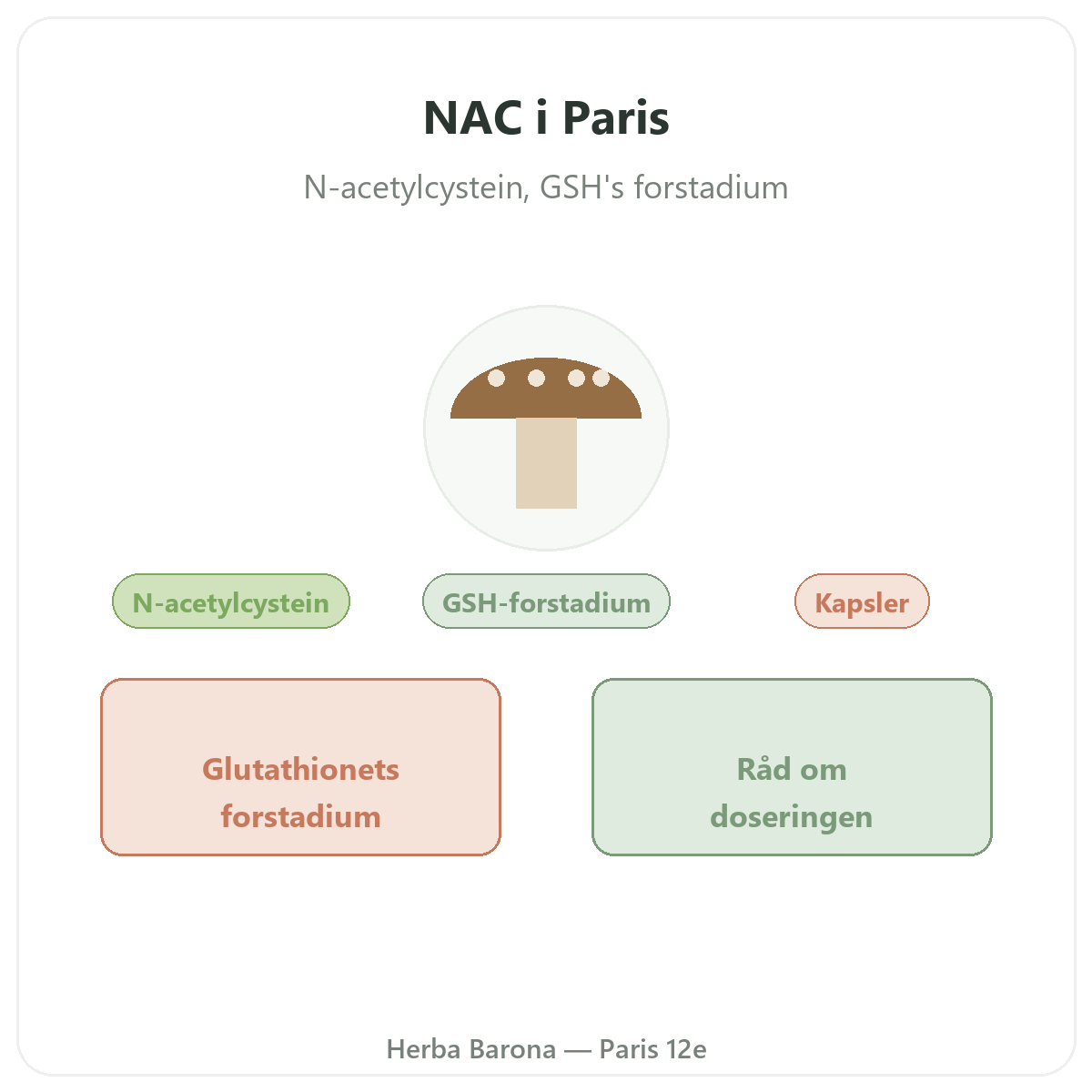 NAC Paris Paris - præsentation af mærket hos Herba Barona Paris 12