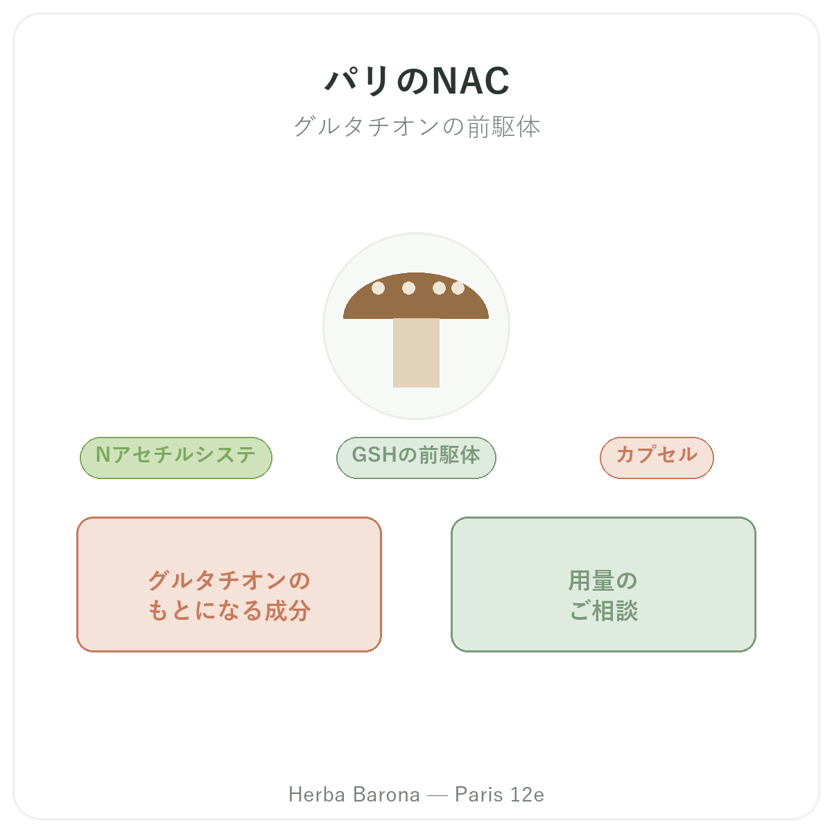 NAC パリ - ブランド紹介 Herba Barona パリ12区