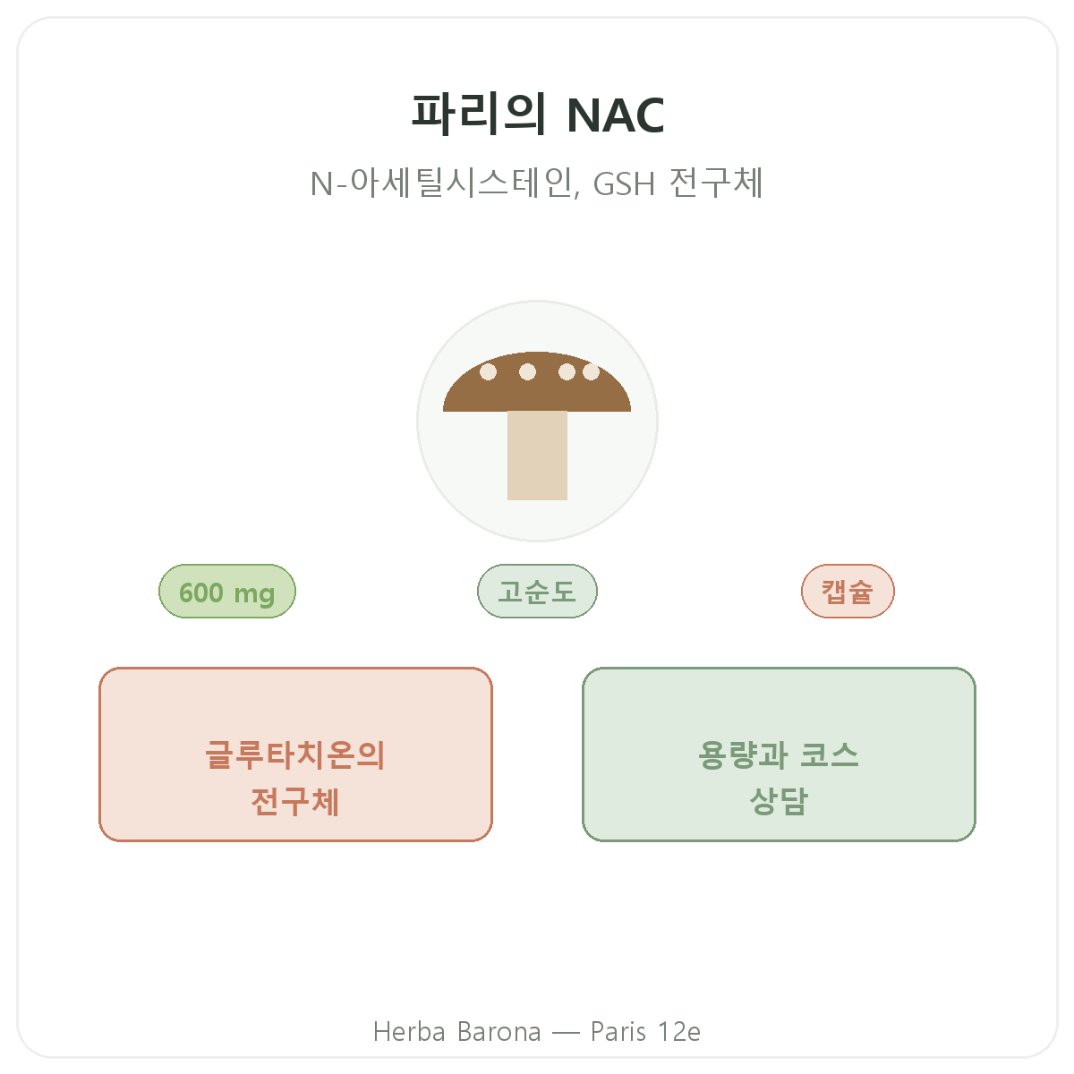 NAC 파리 파리 - Herba Barona 파리 12구 브랜드 소개