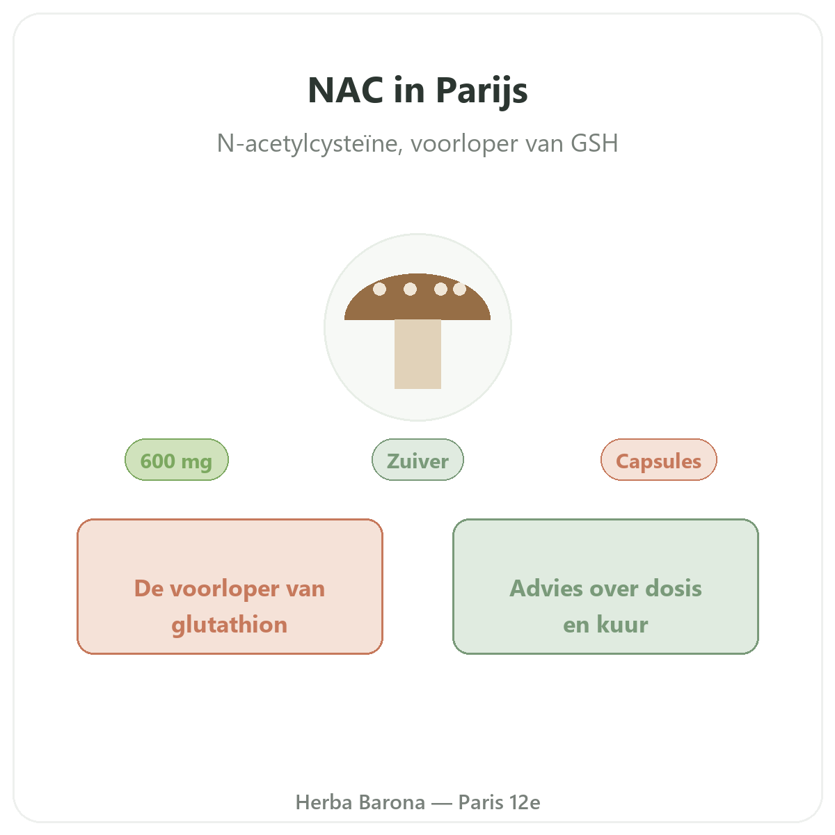 NAC Parijs - presentatie van het merk bij Herba Barona Parijs 12e