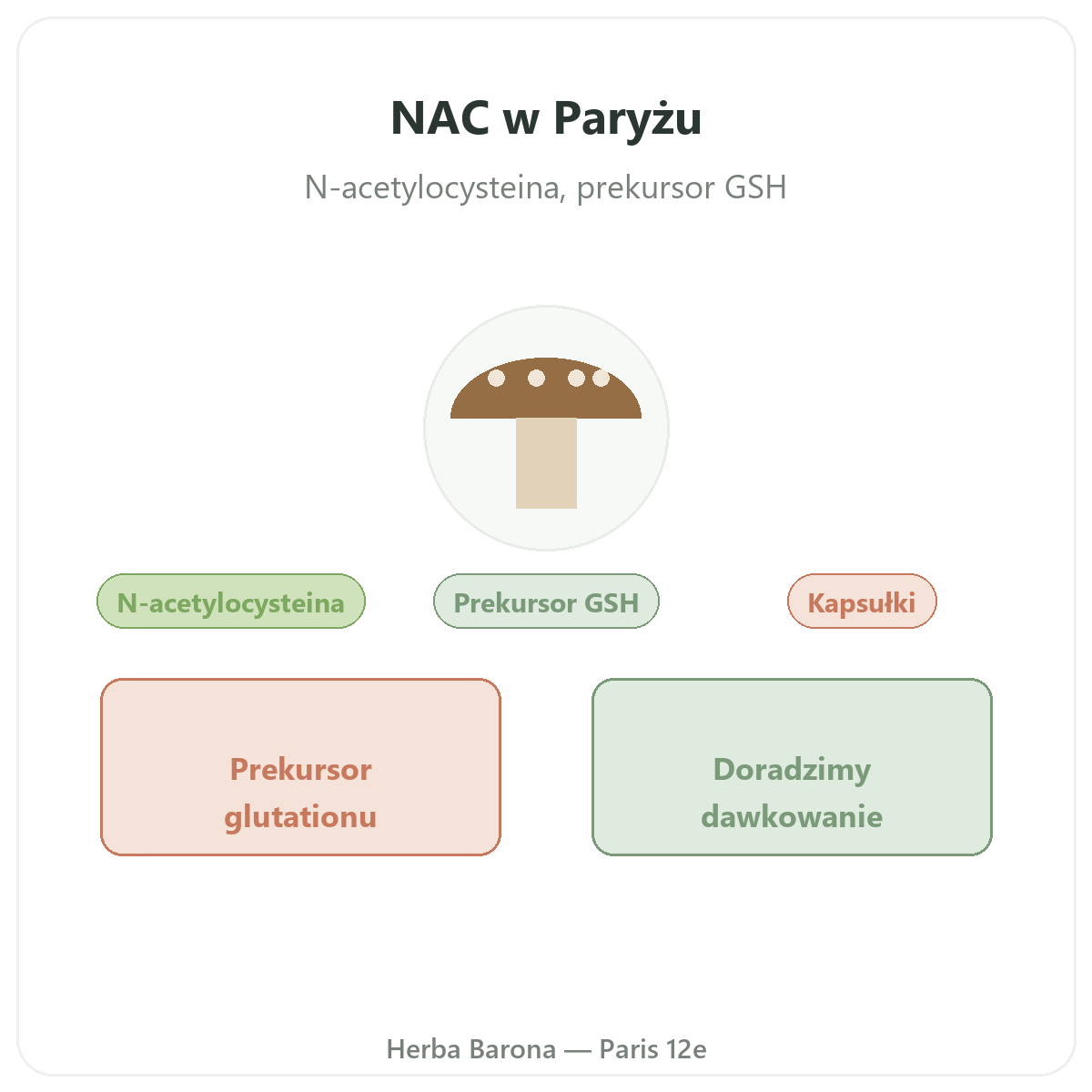 NAC w Paryżu – prezentacja oferty w Herba Barona