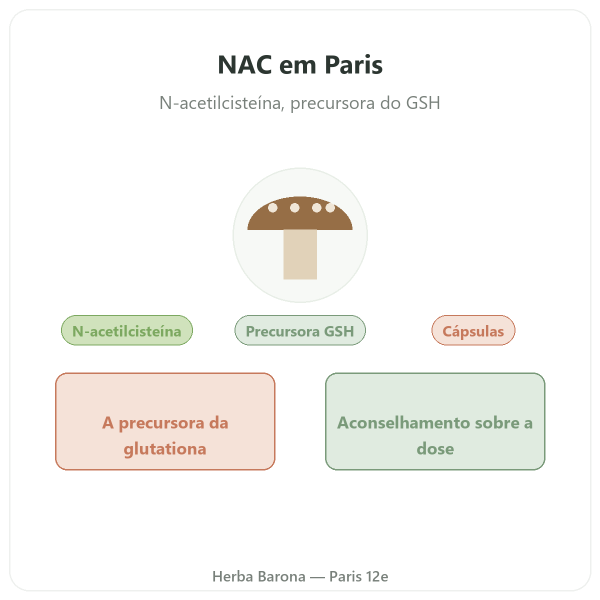 NAC em Paris - apresentação da marca na Herba Barona Paris 12e