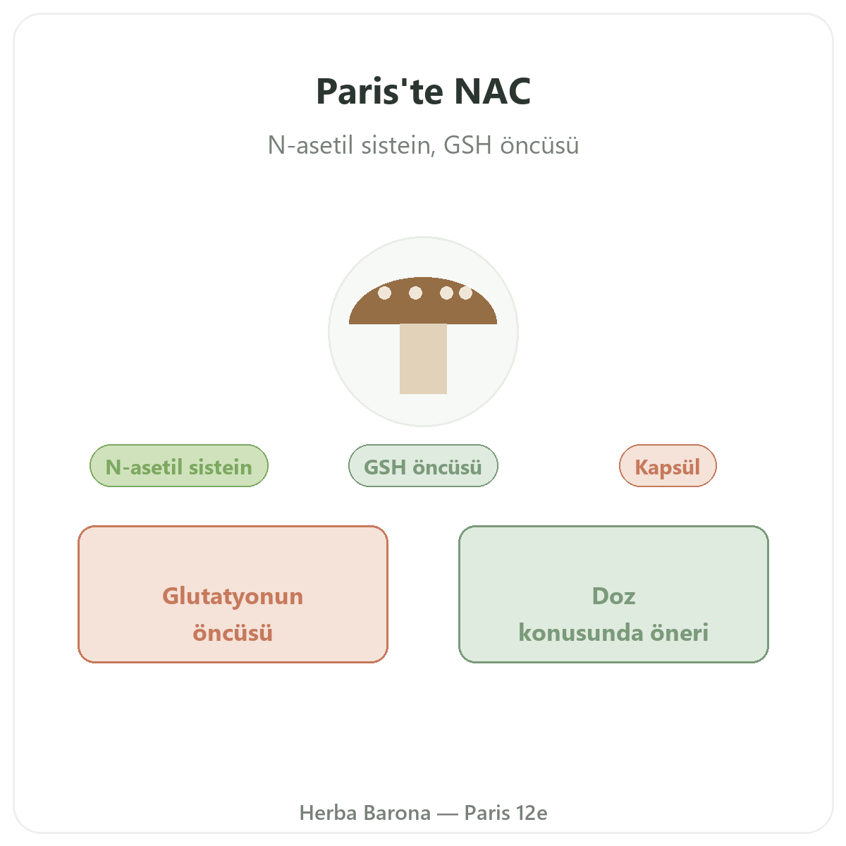NAC Paris - Herba Barona markasının tanıtımı, Paris 12. bölge