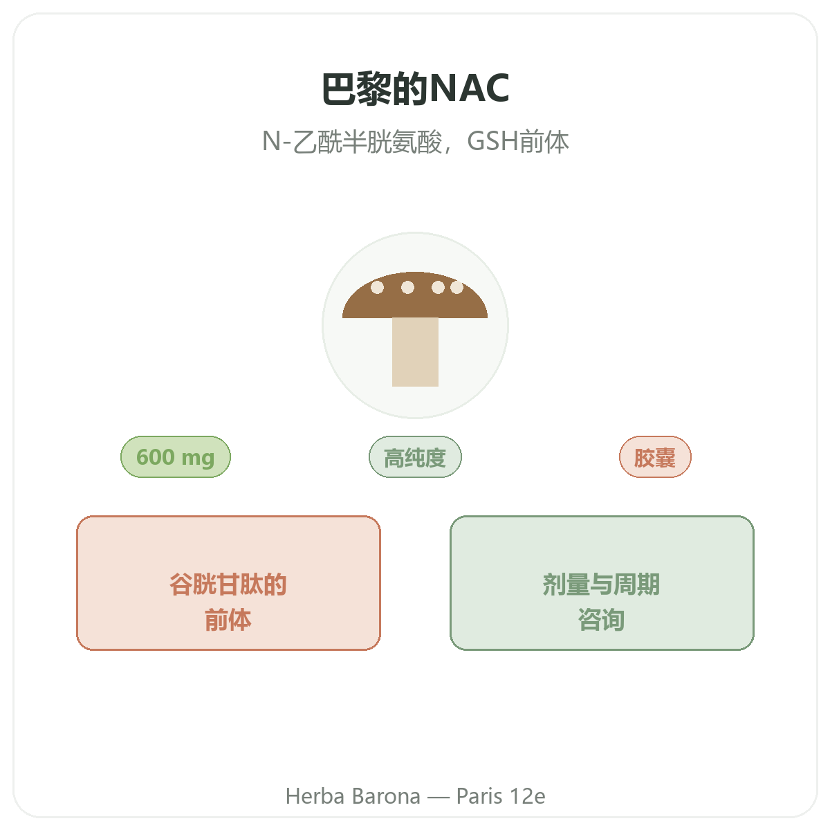 NAC 巴黎——品牌介绍——Herba Barona 巴黎12区