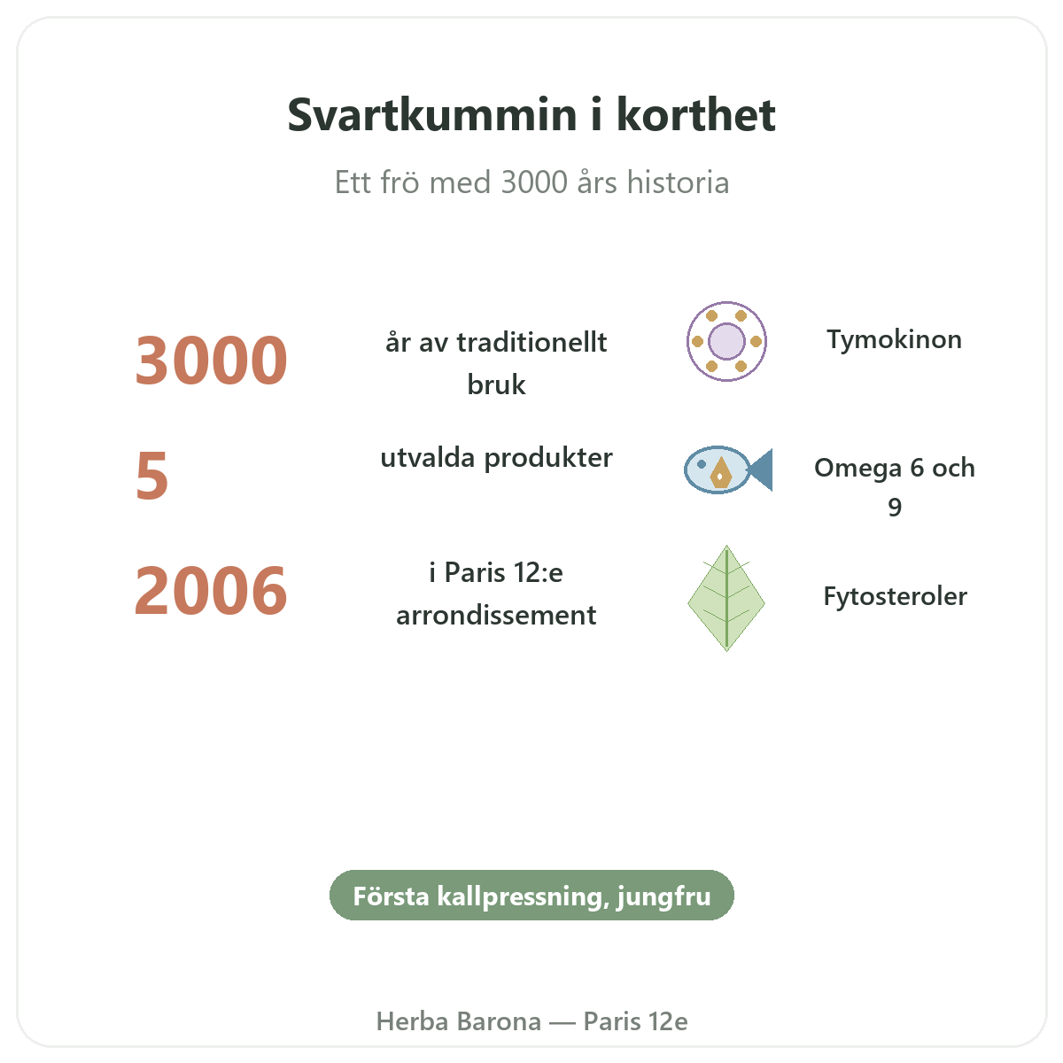 Svartkummin Paris i korthet - nyckeltal hos Herba Barona Paris 12e