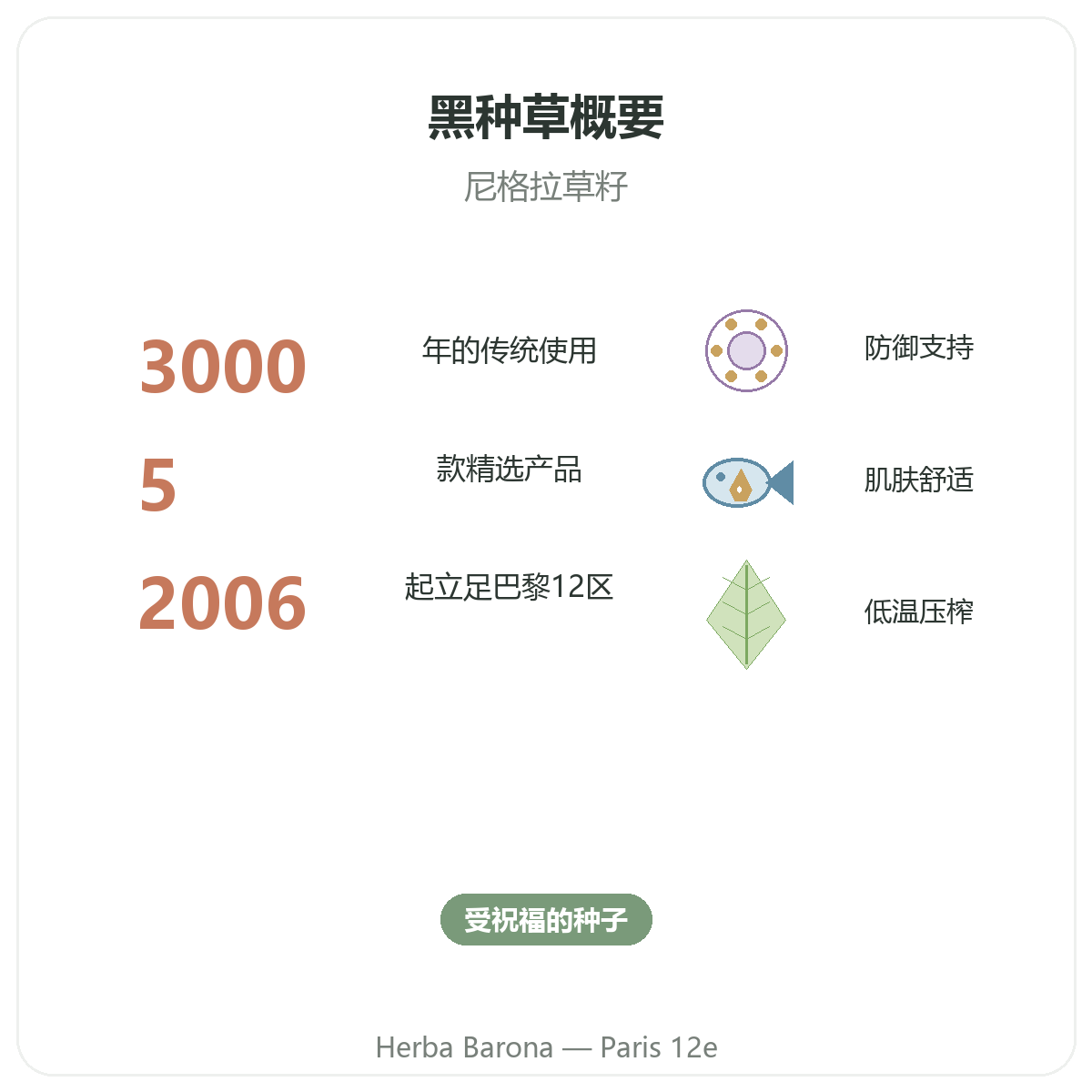 黑种草 巴黎概览——Herba Barona 巴黎12区重要数据