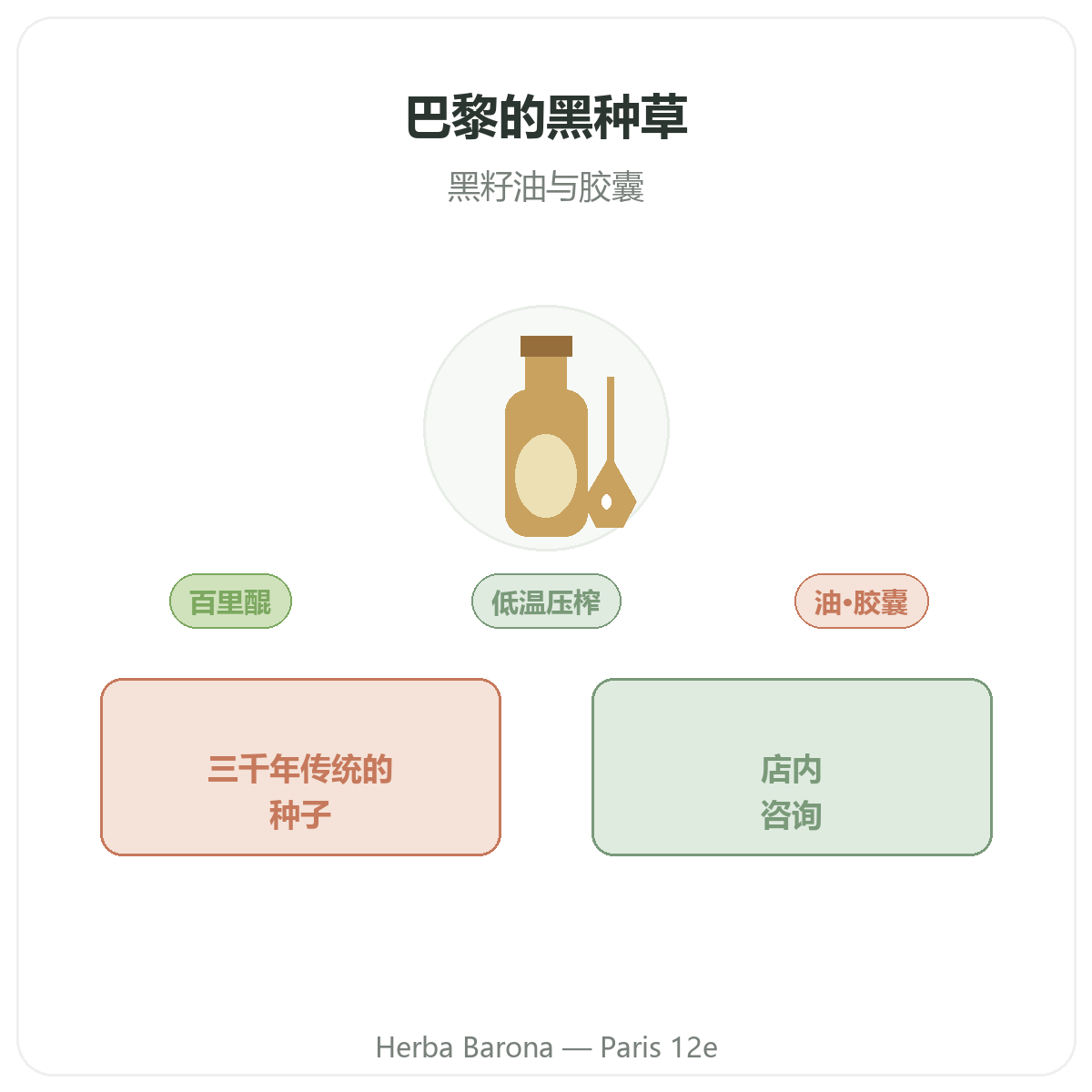 黑种草 巴黎——Herba Barona 巴黎12区品牌介绍