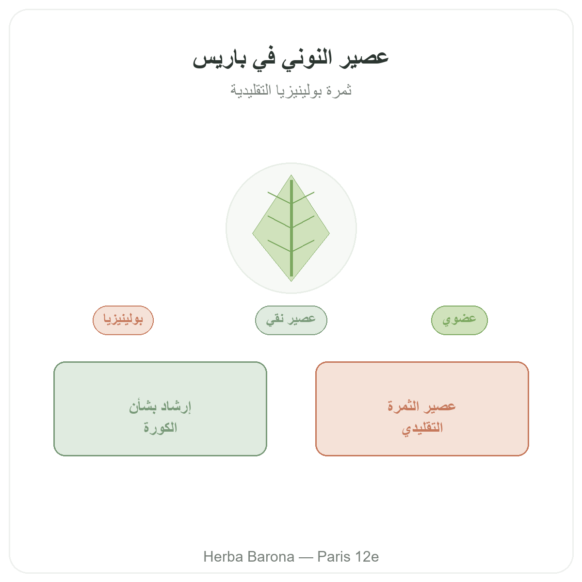 عصير النوني في باريس - تقديم الفئة لدى Herba Barona باريس 12