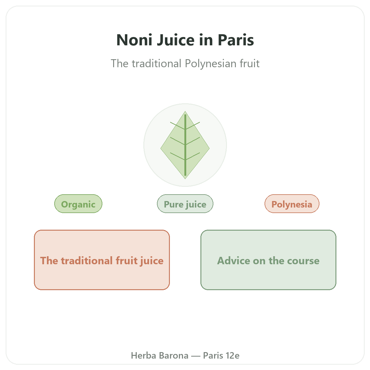 Noni Juice in Paris - overview at Herba Barona Paris 12e