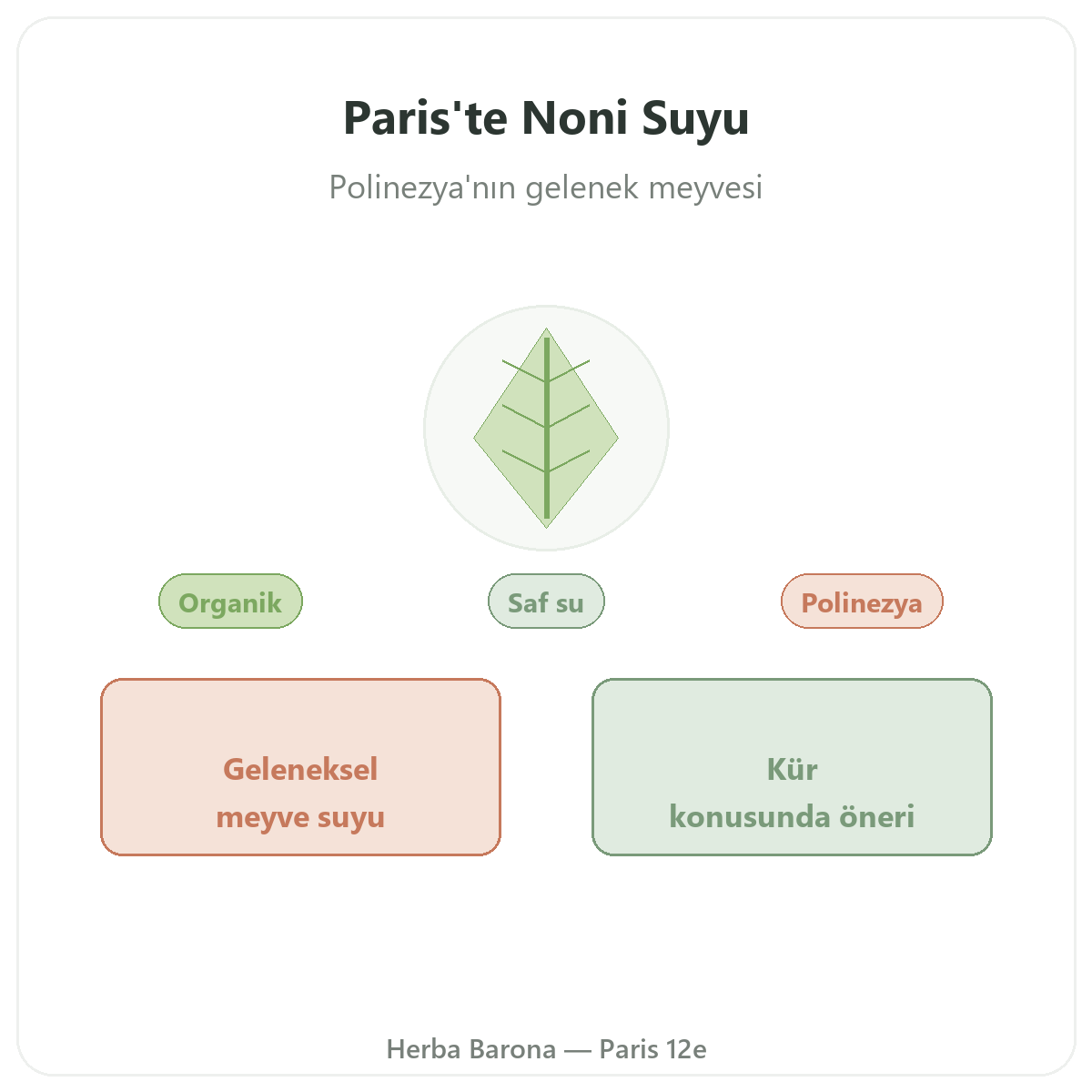 Noni suyu Paris - Herba Barona’daki marka tanıtımı, Paris 12. bölge