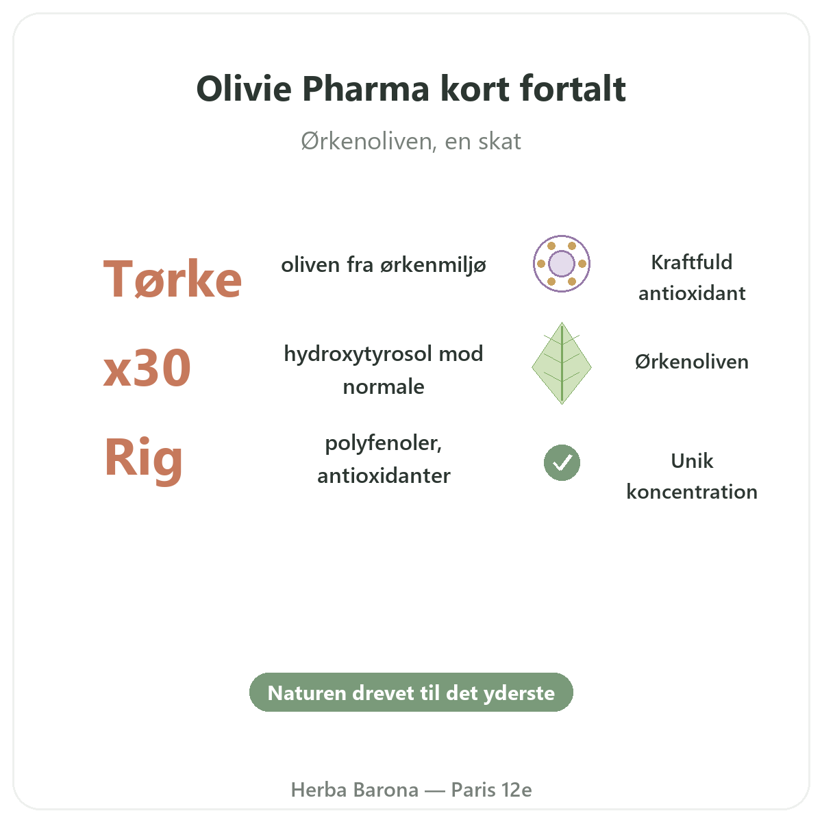 Olivie Pharma Paris i korte træk - nøgletal hos Herba Barona Paris 12