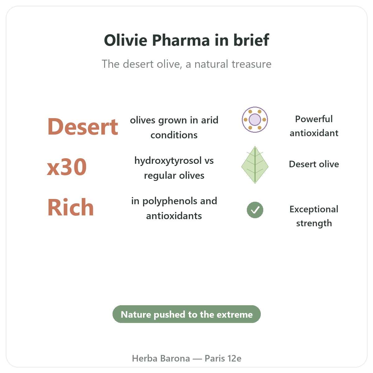 Olivie Pharma Paris at a glance - key facts at Herba Barona Paris 12e