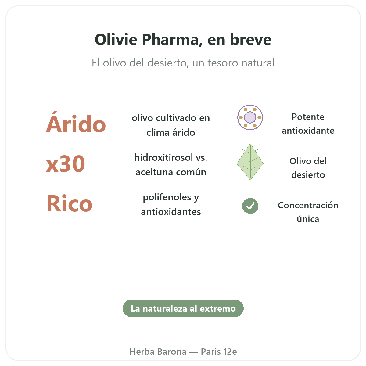 Olivie Pharma París en breve - cifras clave en Herba Barona París 12e