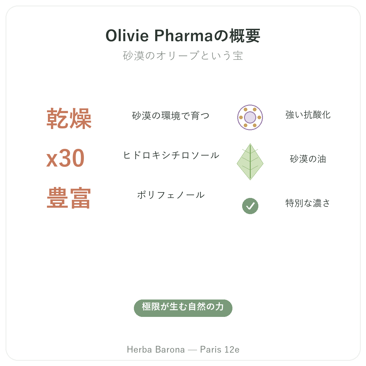 Olivie Pharma パリ 早わかり - Herba Baronaパリ12区店のブランド概要