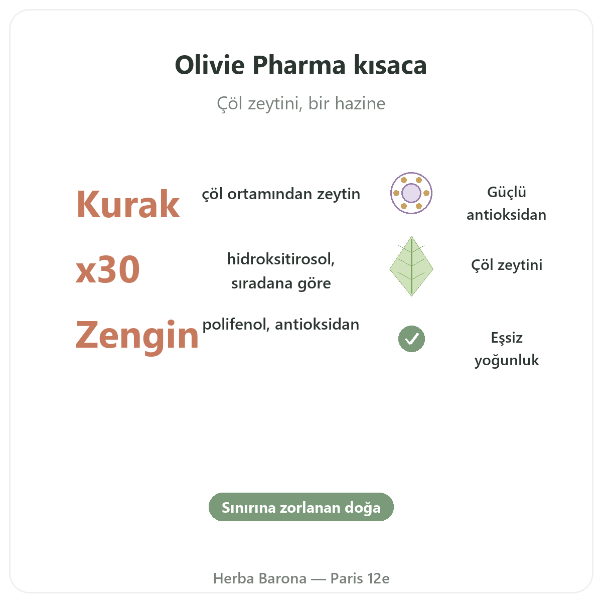 Olivie Pharma Paris kısaca - Herba Barona Paris 12. bölgede marka rakamları