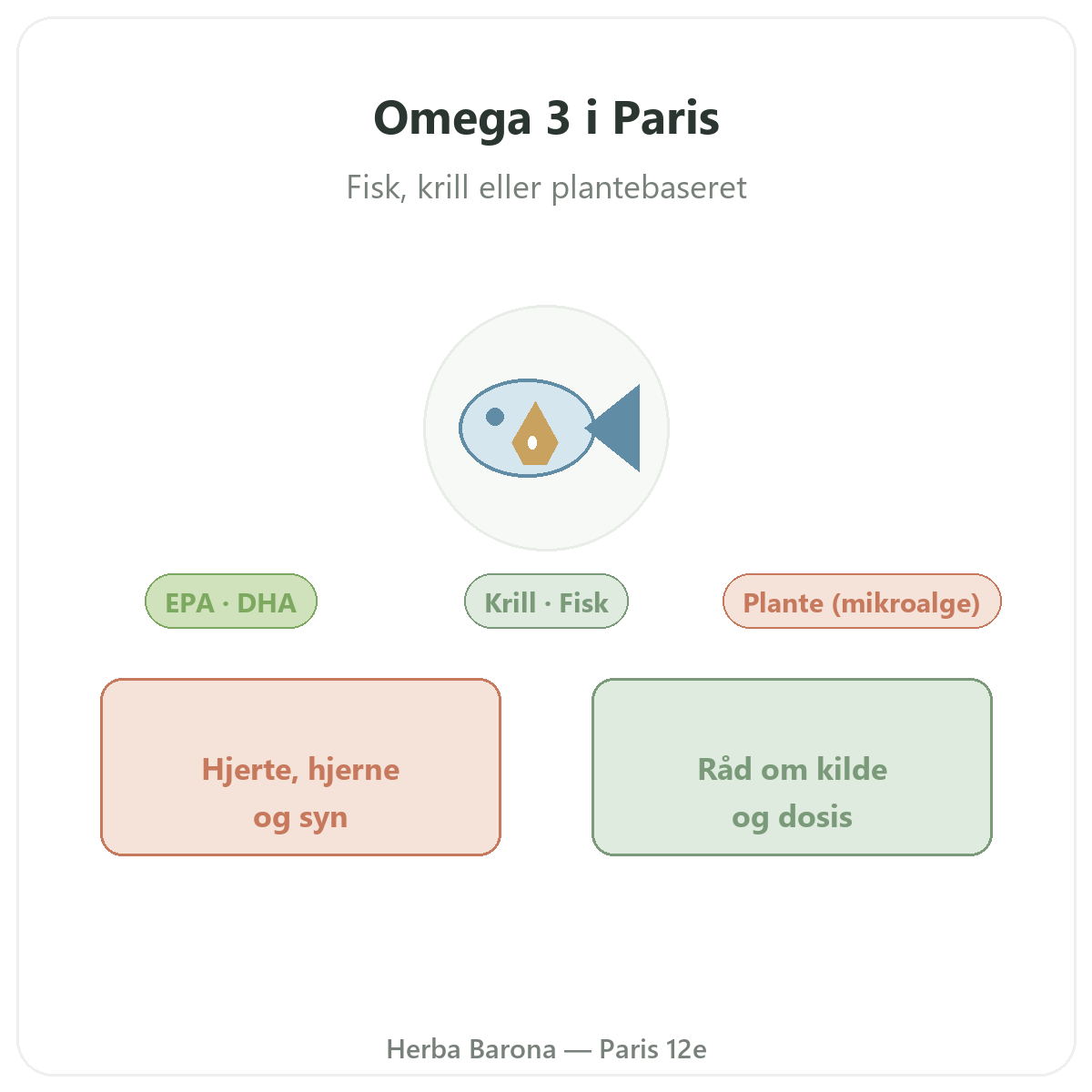 Omega 3 EPA DHA Paris - præsentation af sortimentet hos Herba Barona Paris 12