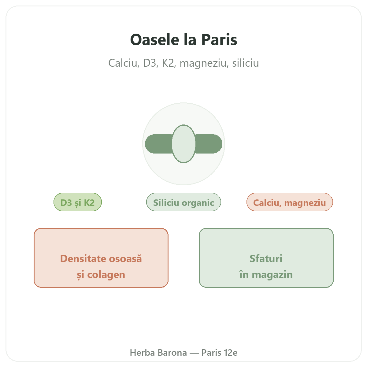 Suplimente pentru oase la Paris - la Herba Barona Paris, arondismentul 12