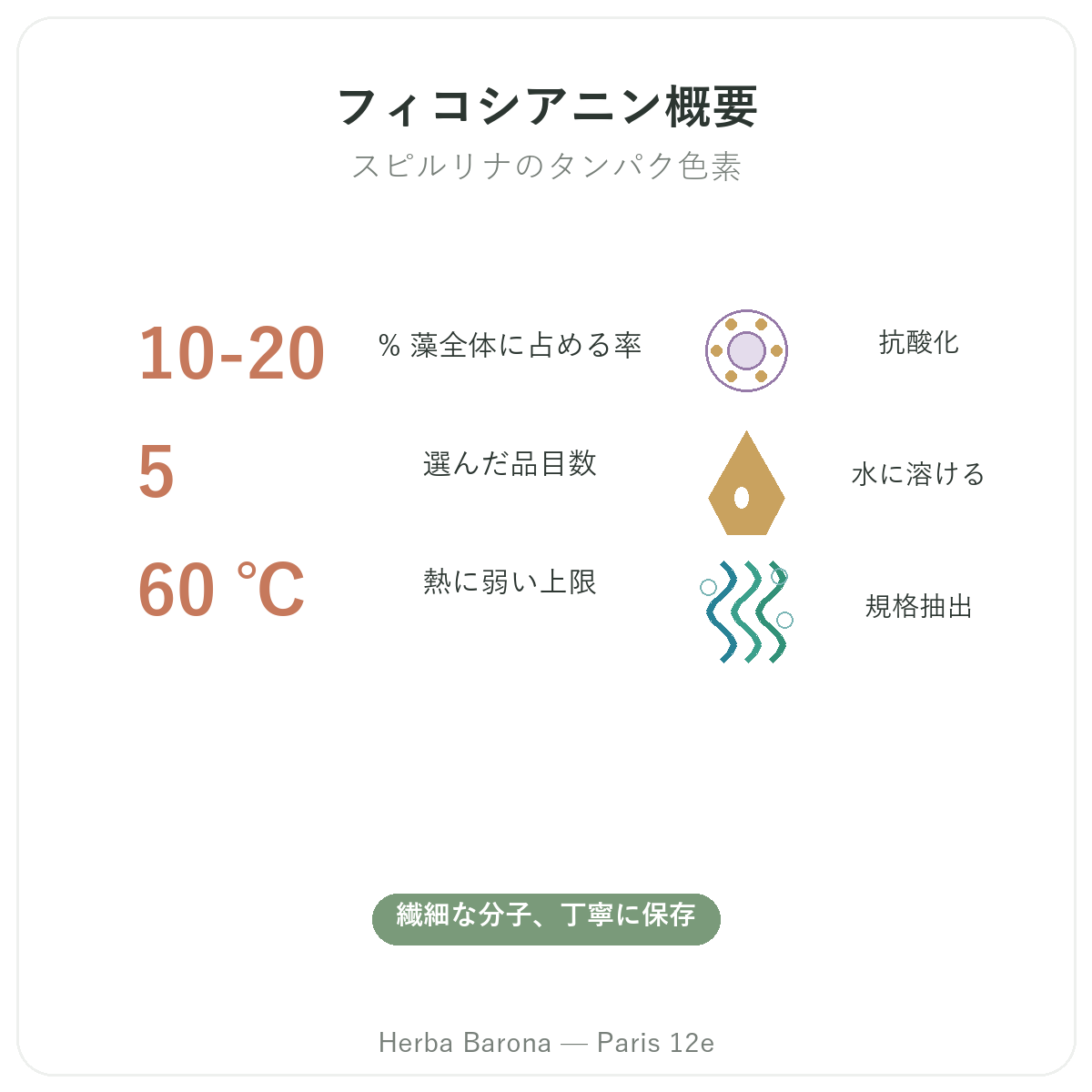 フィコシアニン パリ 早わかり - Herba Baronaパリ12区の数字で見る特徴