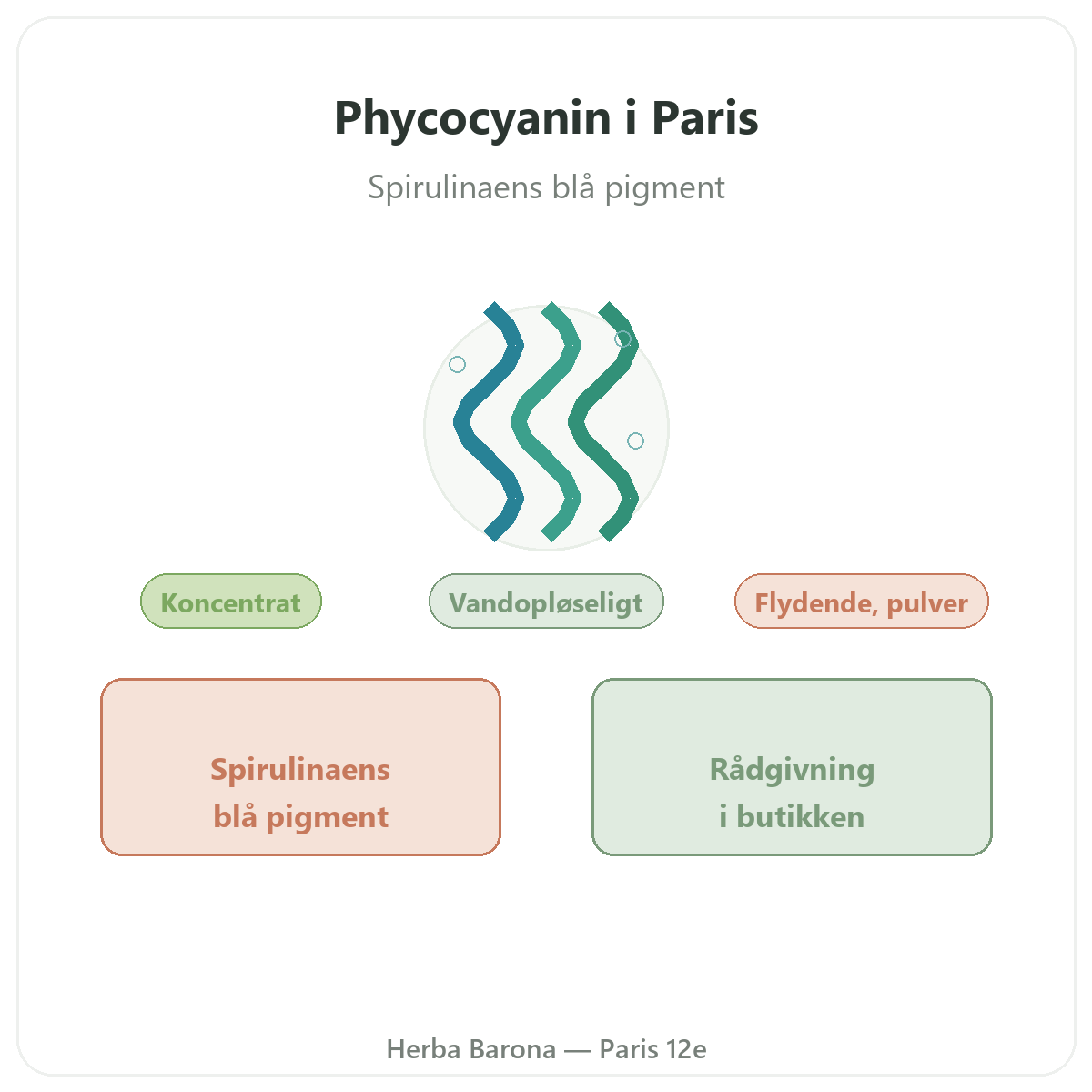 Phycocyanin Paris Paris - præsentation af mærket hos Herba Barona Paris 12