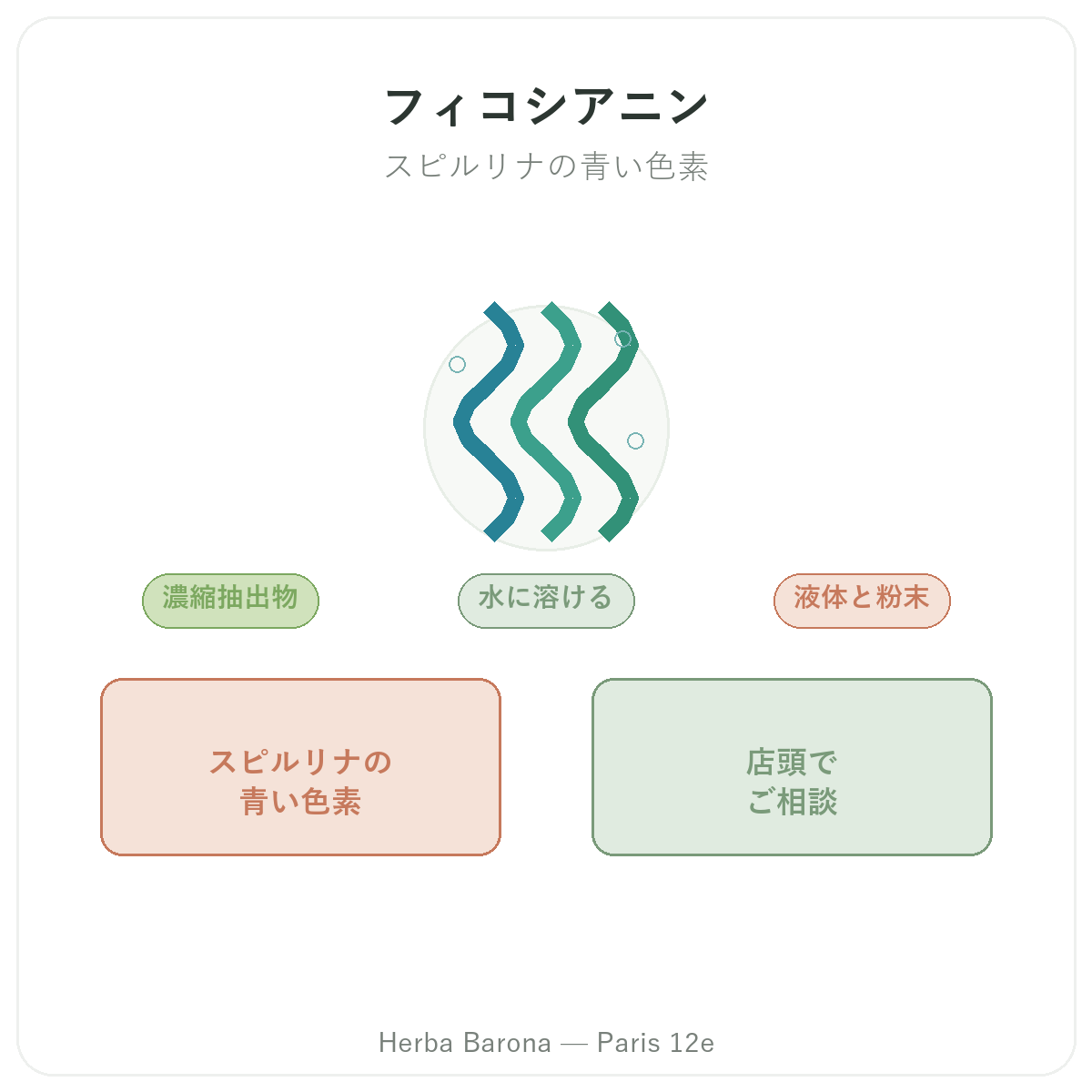 フィコシアニン パリ - Herba Baronaパリ12区でのブランド紹介