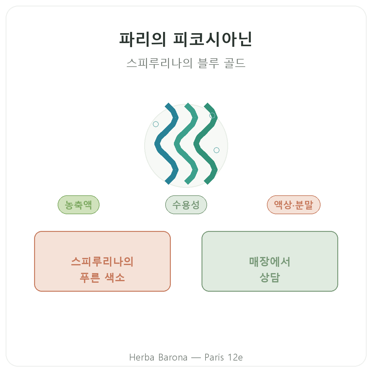 피코시아닌 파리 파리 - Herba Barona 파리 12구 브랜드 소개