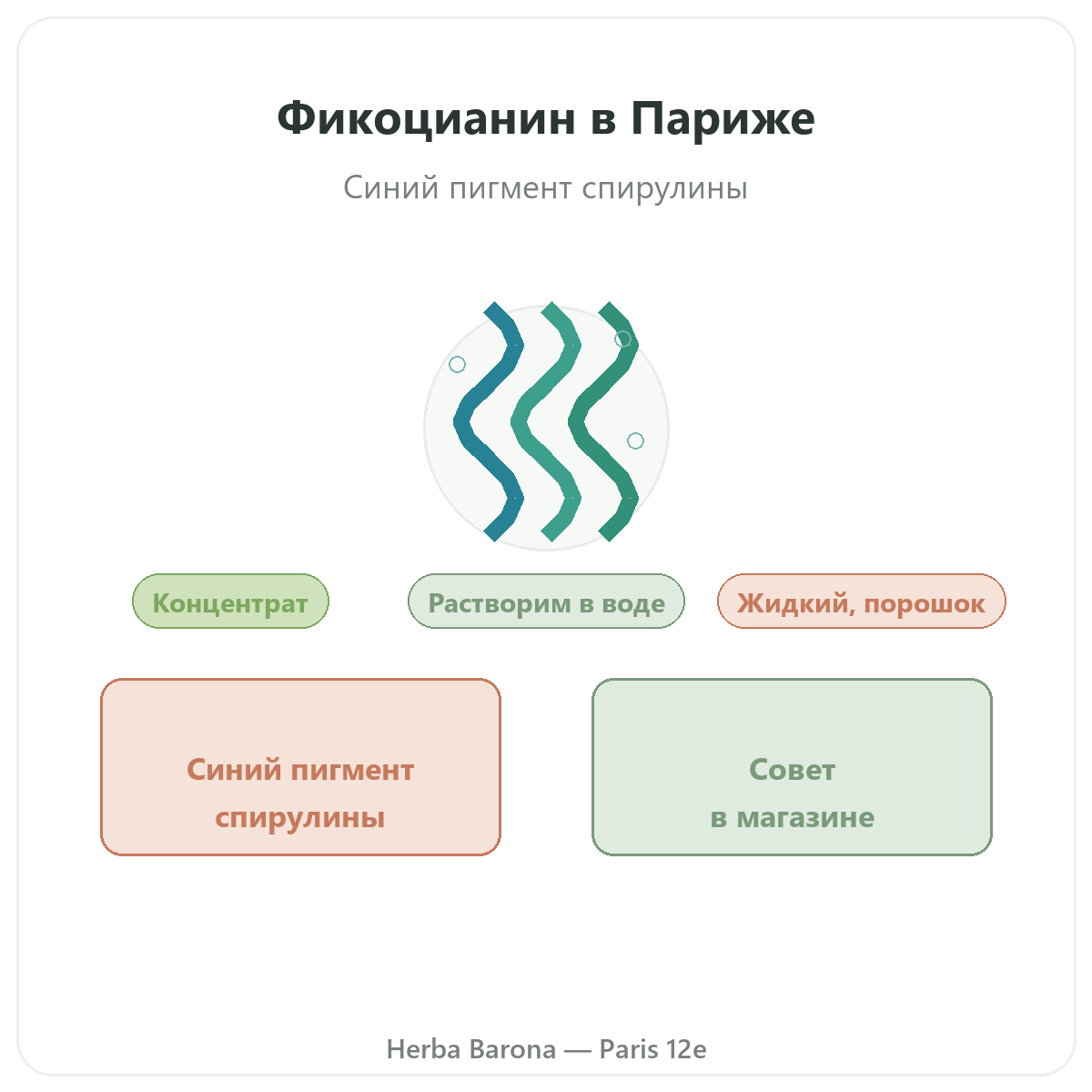 Фикоцианин Париж — презентация бренда в Herba Barona, Париж, 12-й округ