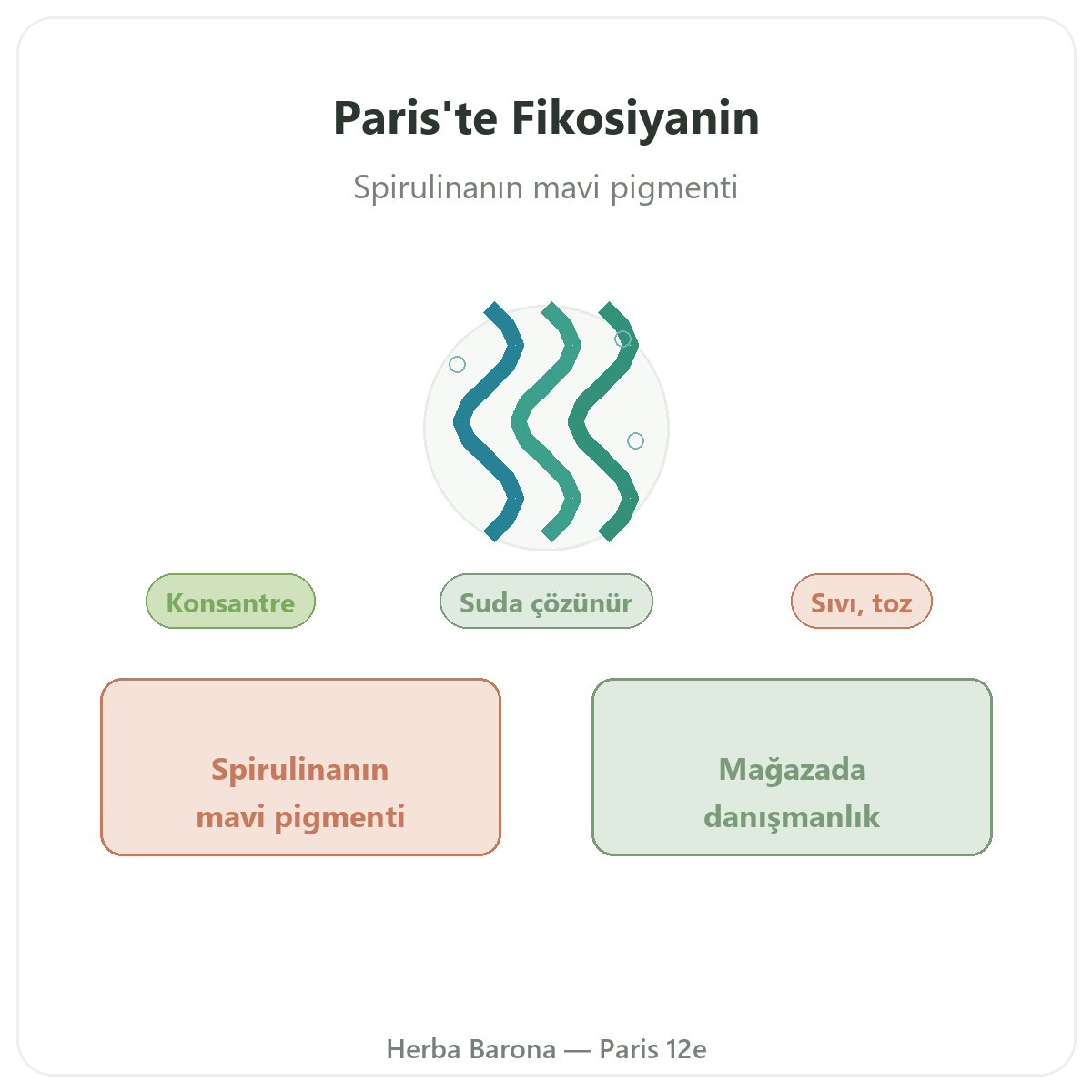 Fikosiyanin Paris - Herba Barona Paris 12. bölgede marka tanitimi