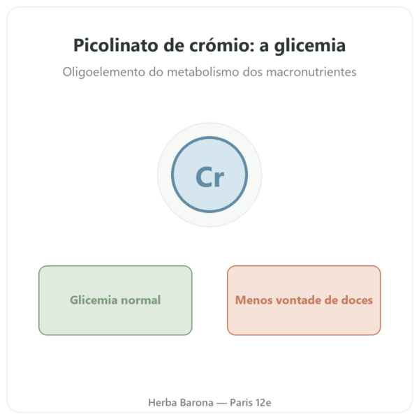 Picolinato de Crómio 200µg Novoma 120 cápsulas apresentação Paris Herba Barona