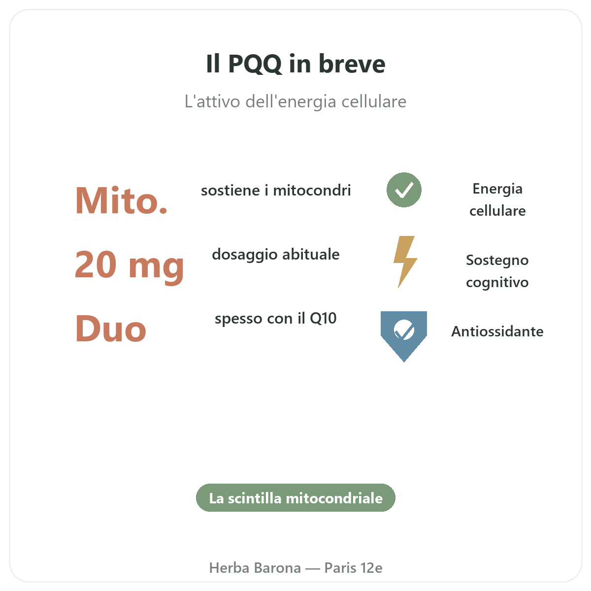 PQQ Parigi Parigi in breve - cifre chiave da Herba Barona Parigi 12e