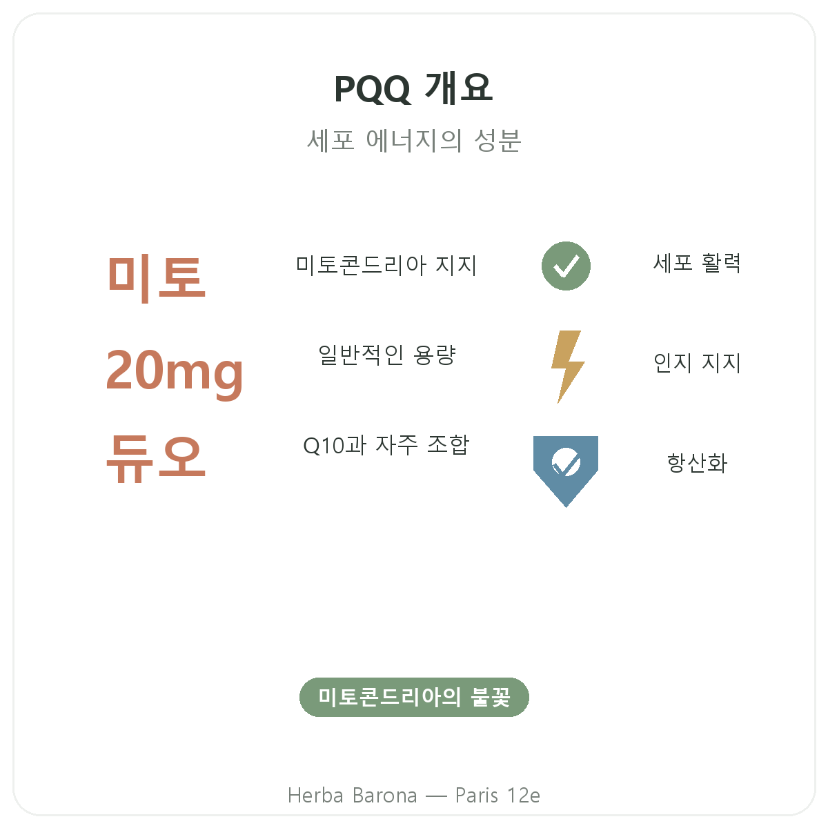 PQQ 파리 요약 - Herba Barona 파리 12구 주요 정보