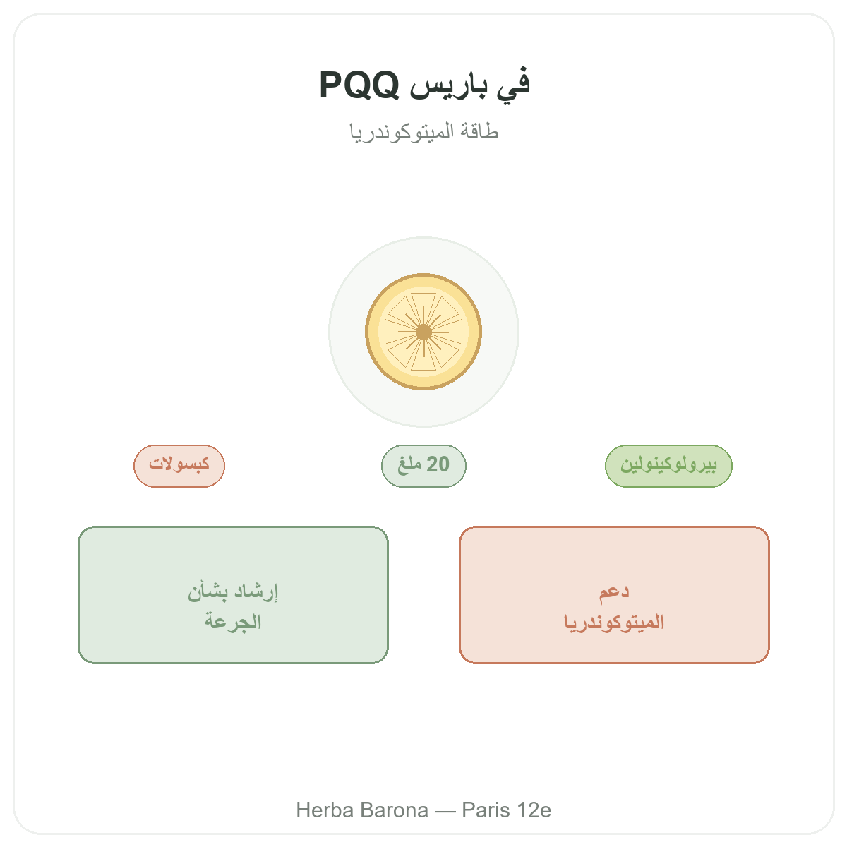 PQQ Paris Paris - presentation de la marque chez Herba Barona Paris 12e