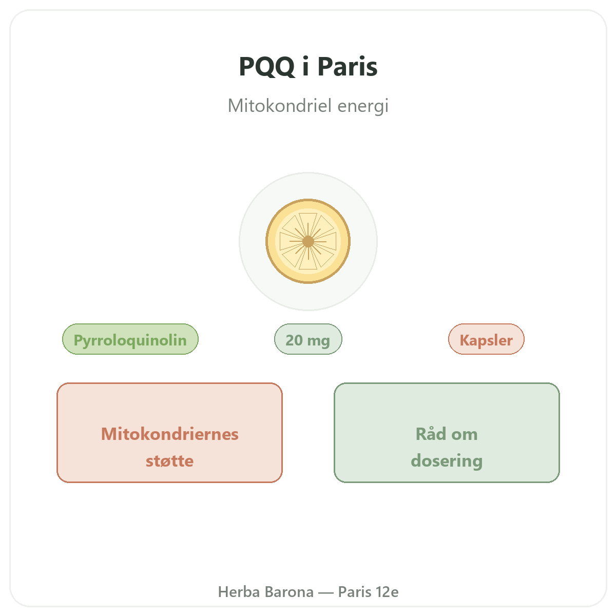 PQQ Paris Paris - præsentation af mærket hos Herba Barona Paris 12