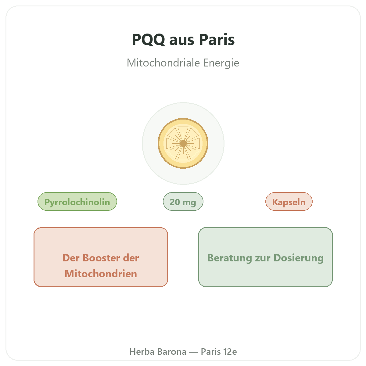 PQQ Paris - Markenvorstellung bei Herba Barona Paris 12e