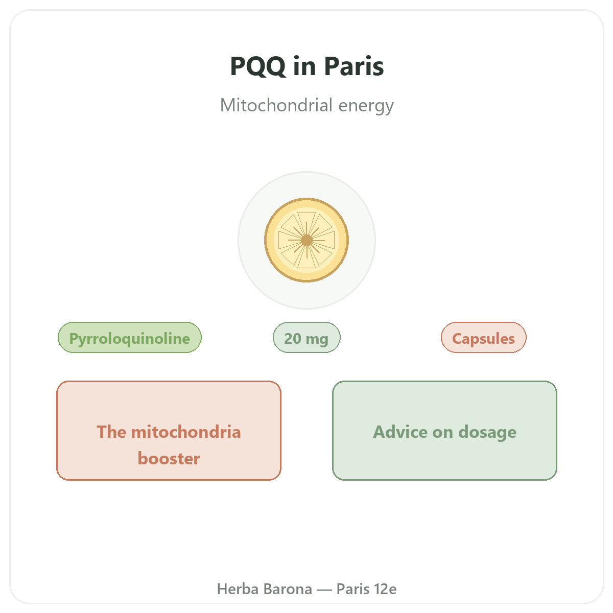PQQ in Paris - brand overview at Herba Barona Paris 12th