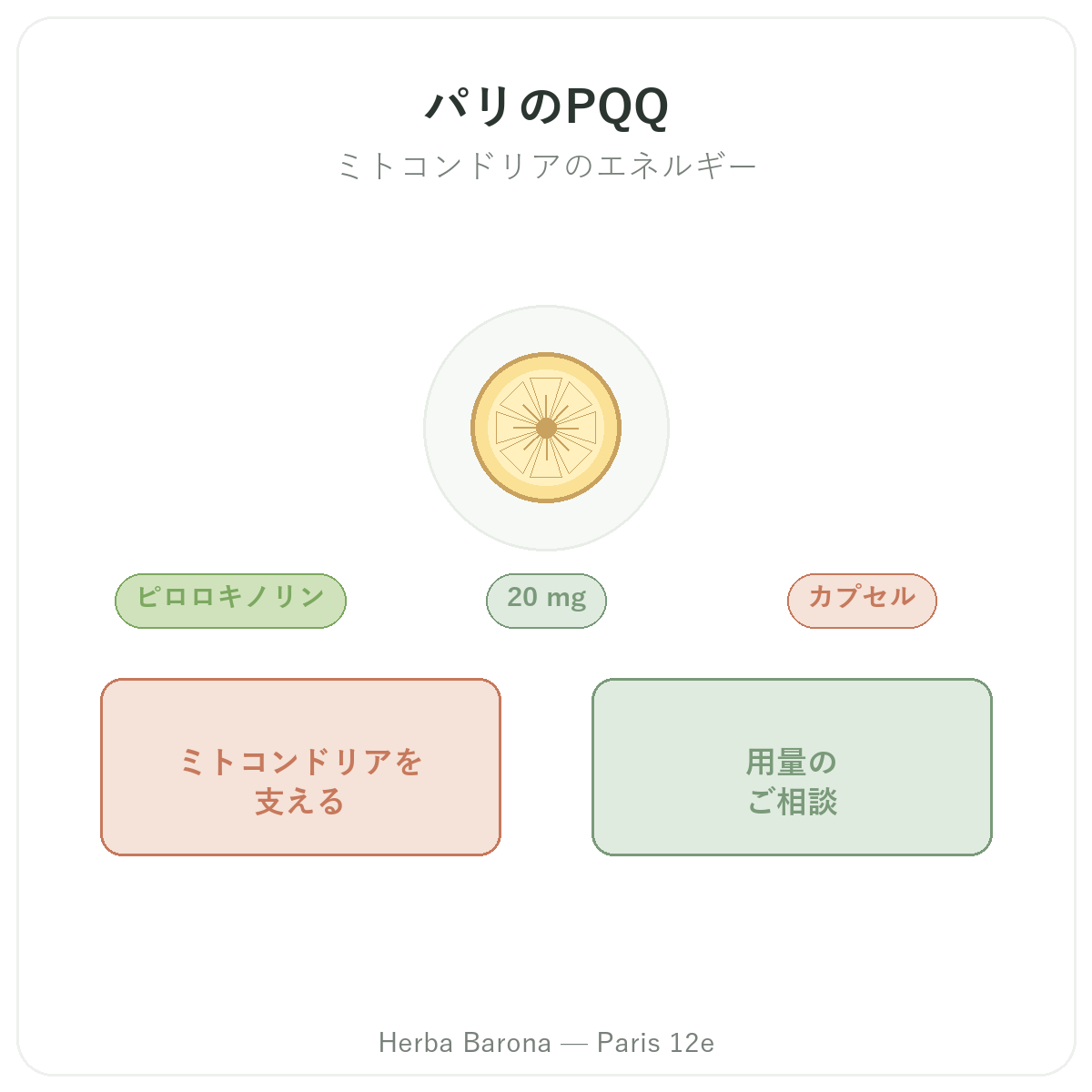 パリのPQQ 紹介 - Herba Barona パリ12区
