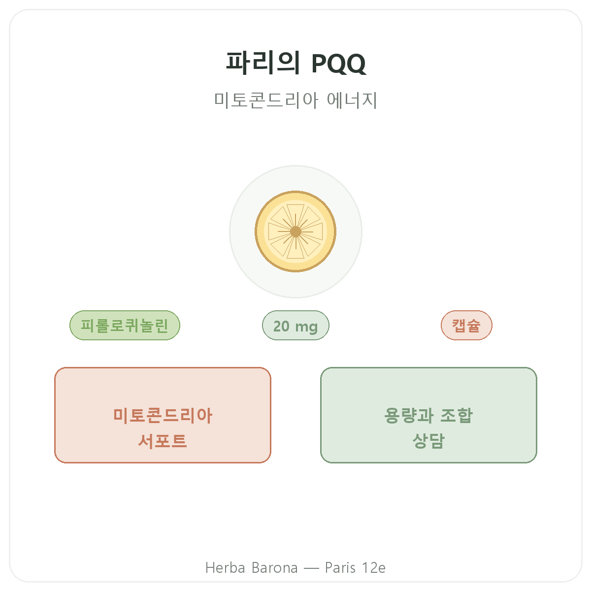 PQQ 파리 - Herba Barona 파리 12구 브랜드 소개