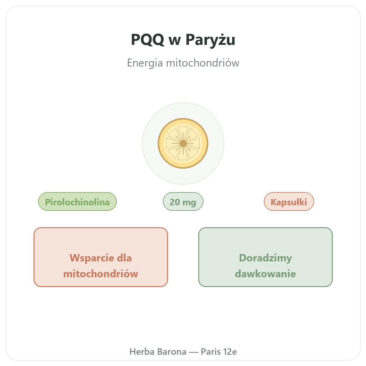 PQQ Paryż – prezentacja marki w Herba Barona, Paryż 12