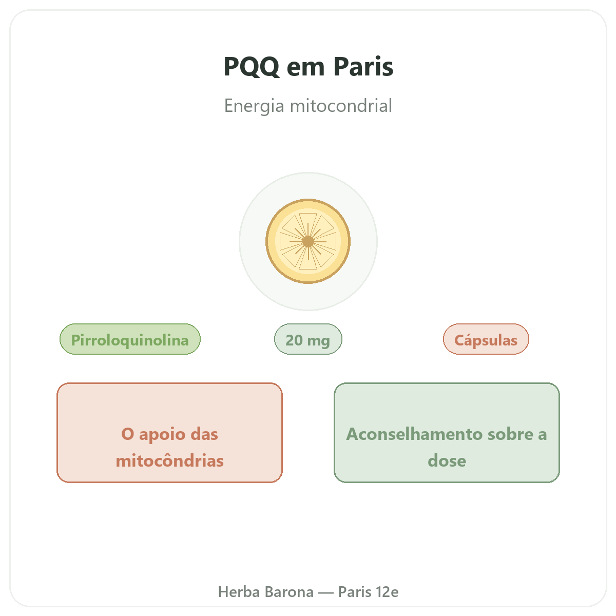 PQQ Paris Paris - apresentação da marca na Herba Barona Paris 12e