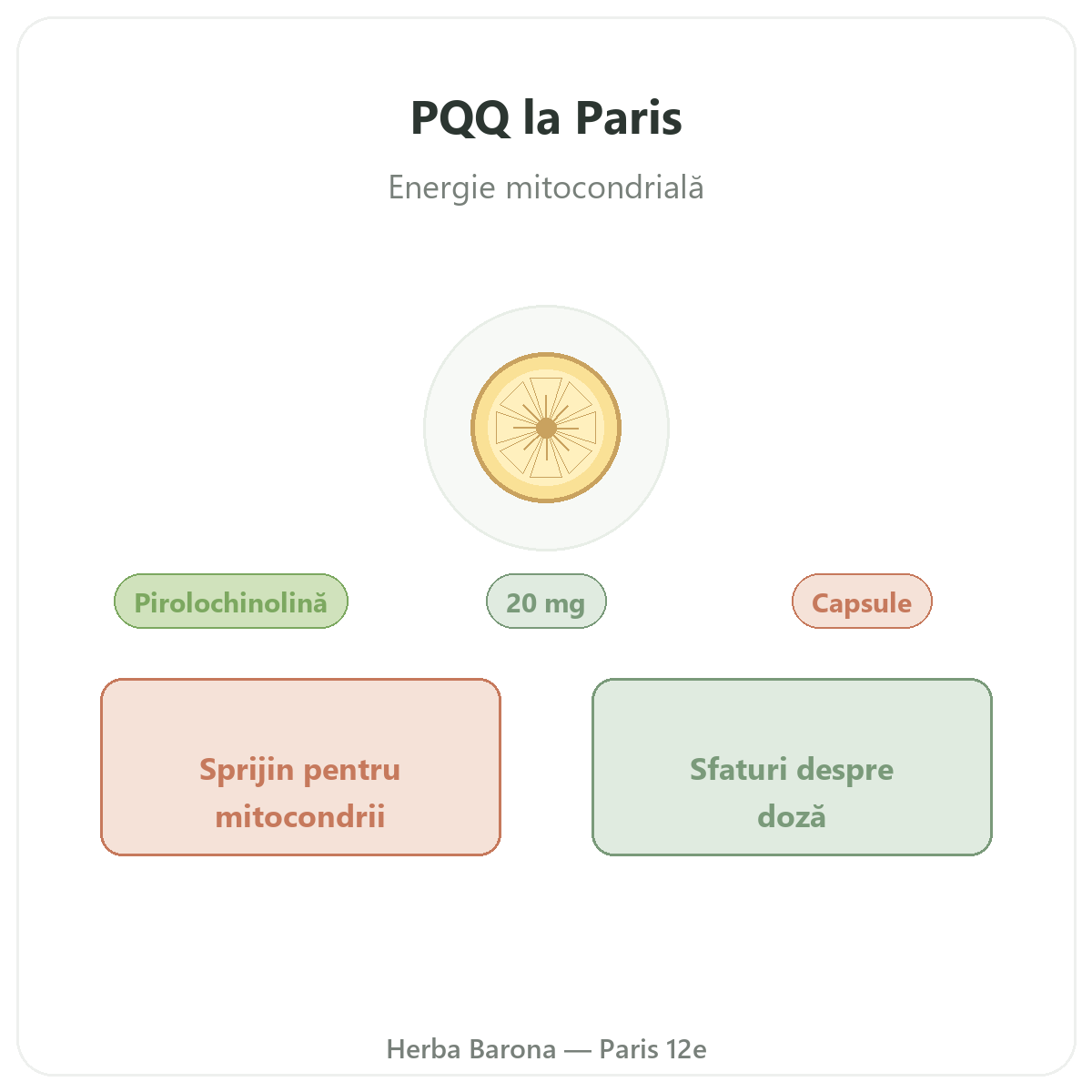 PQQ Paris - prezentarea brandului la Herba Barona Paris, arondismentul 12