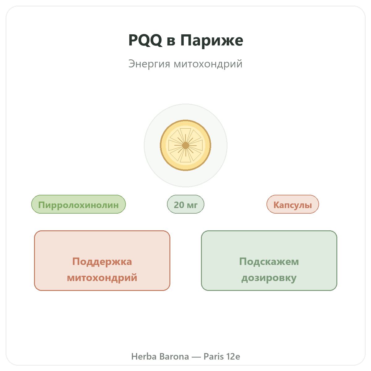 PQQ Париж — презентация бренда в Herba Barona, Париж, 12-й округ