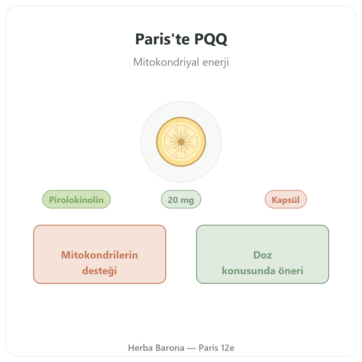 PQQ Paris - Herba Barona Paris 12. bölgede marka tanitimi