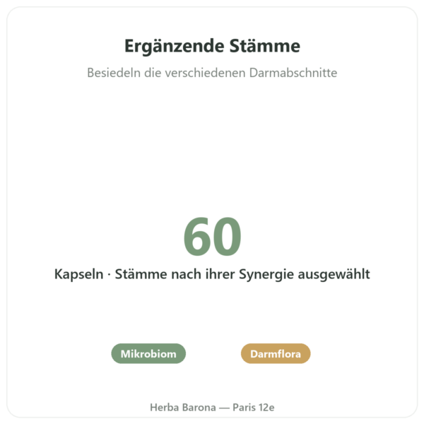 Probio-Formel SynbÆctive® 60 Mrd. KBE – Novoma – 60 Kapseln Vorteile und Fakten Paris Herba Barona
