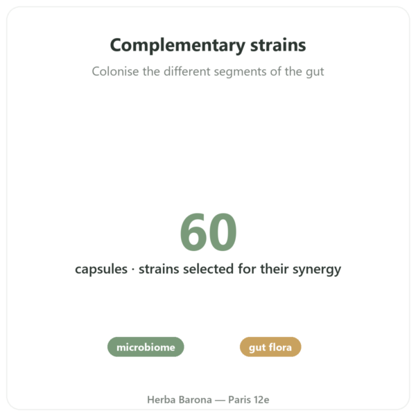 Probio Formula - Novoma - 60 Capsules benefits and key facts Paris Herba Barona