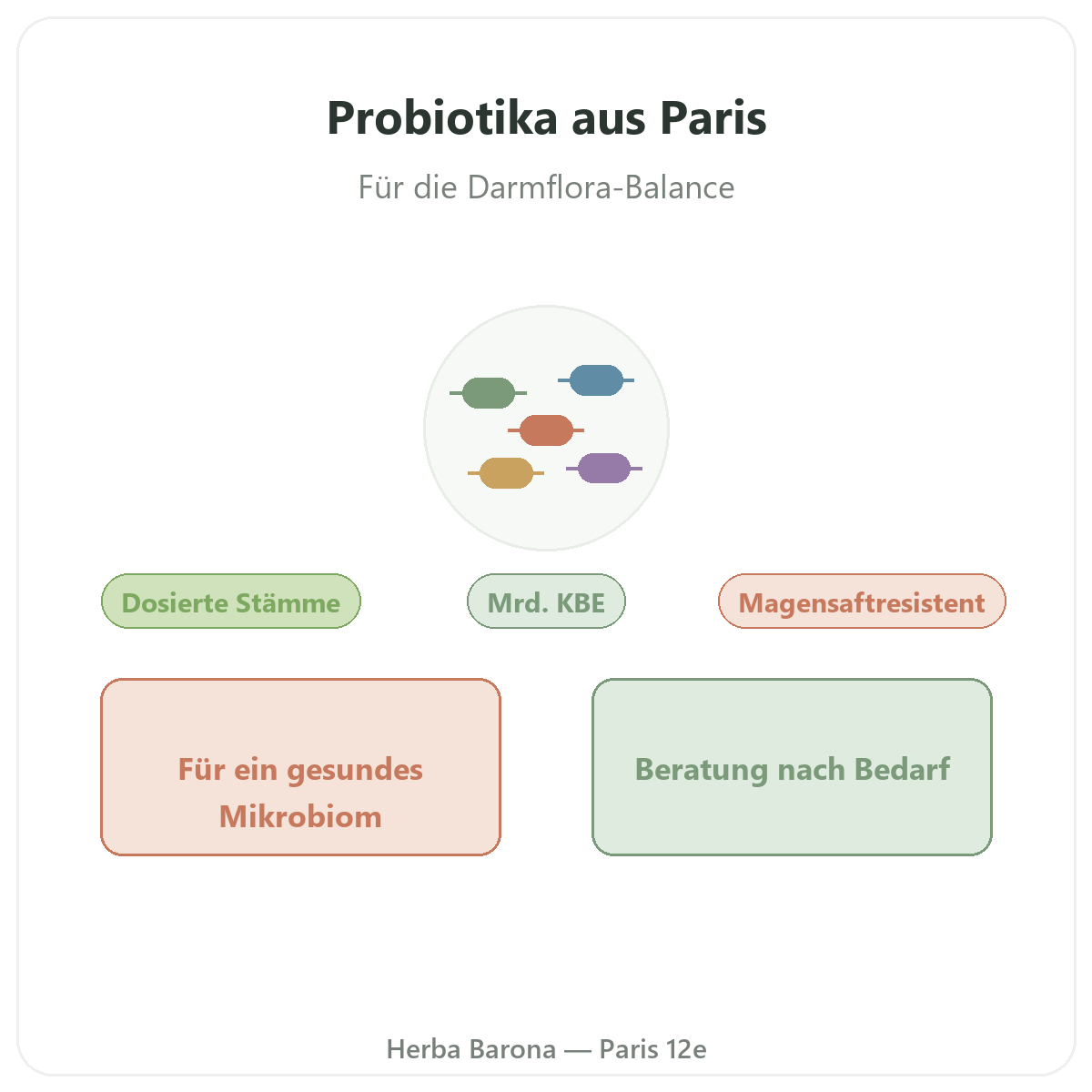 Probiotika Paris - Vorstellung der Marke bei Herba Barona Paris 12e
