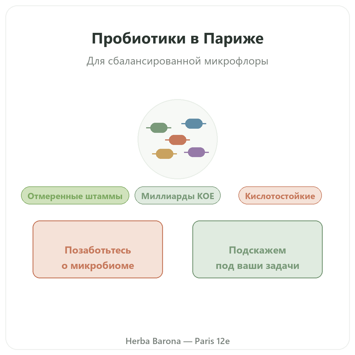 Пробиотики Париж — презентация бренда в Herba Barona, Париж, 12-й округ