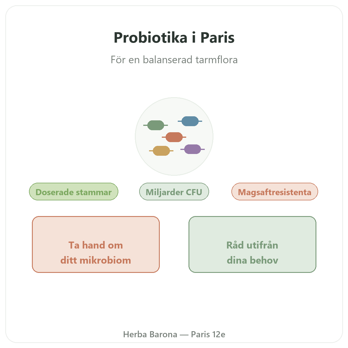 Probiotika Paris - presentation av varumärket hos Herba Barona Paris 12e