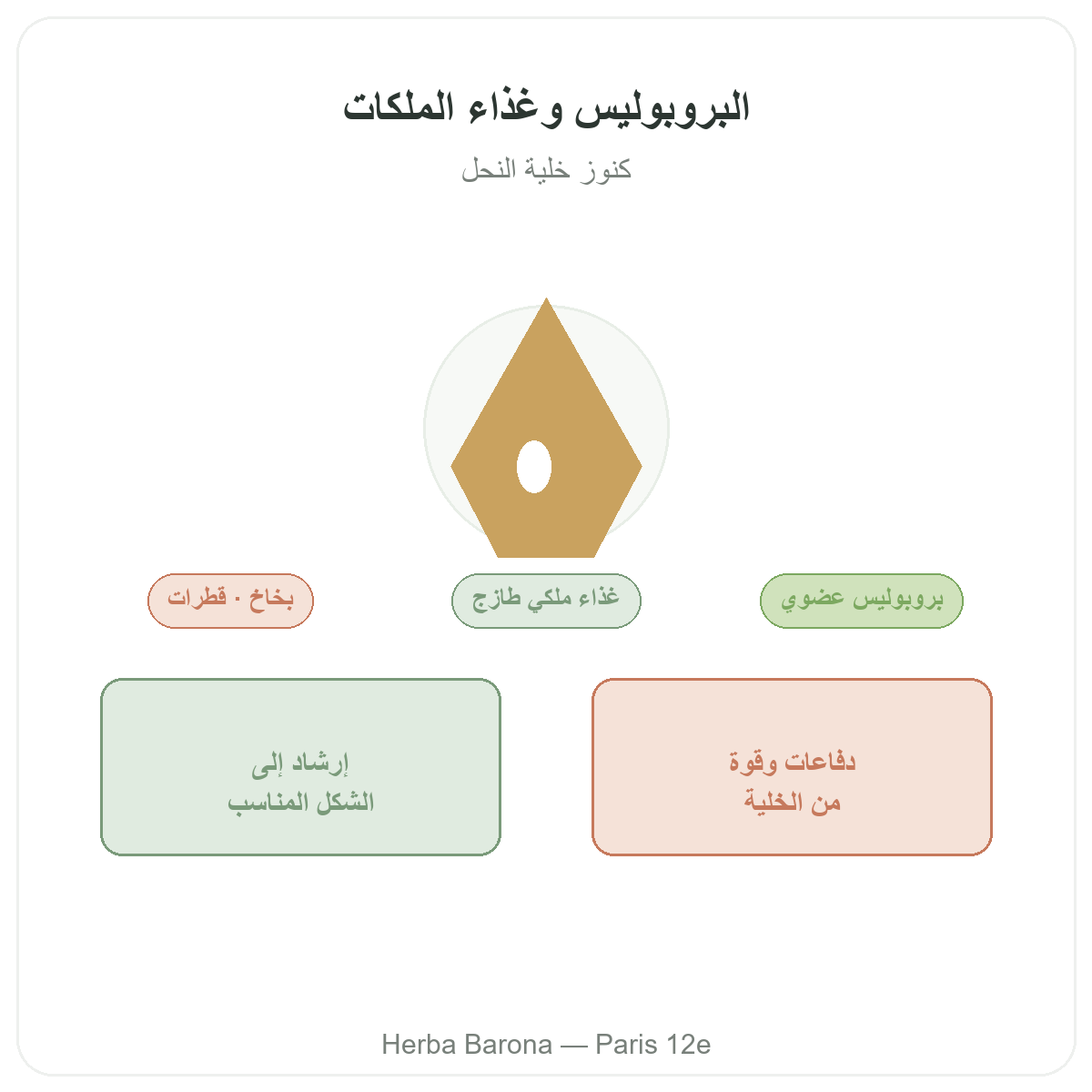 البروبوليس والغذاء الملكي في باريس - تقديم لدى Herba Barona باريس 12
