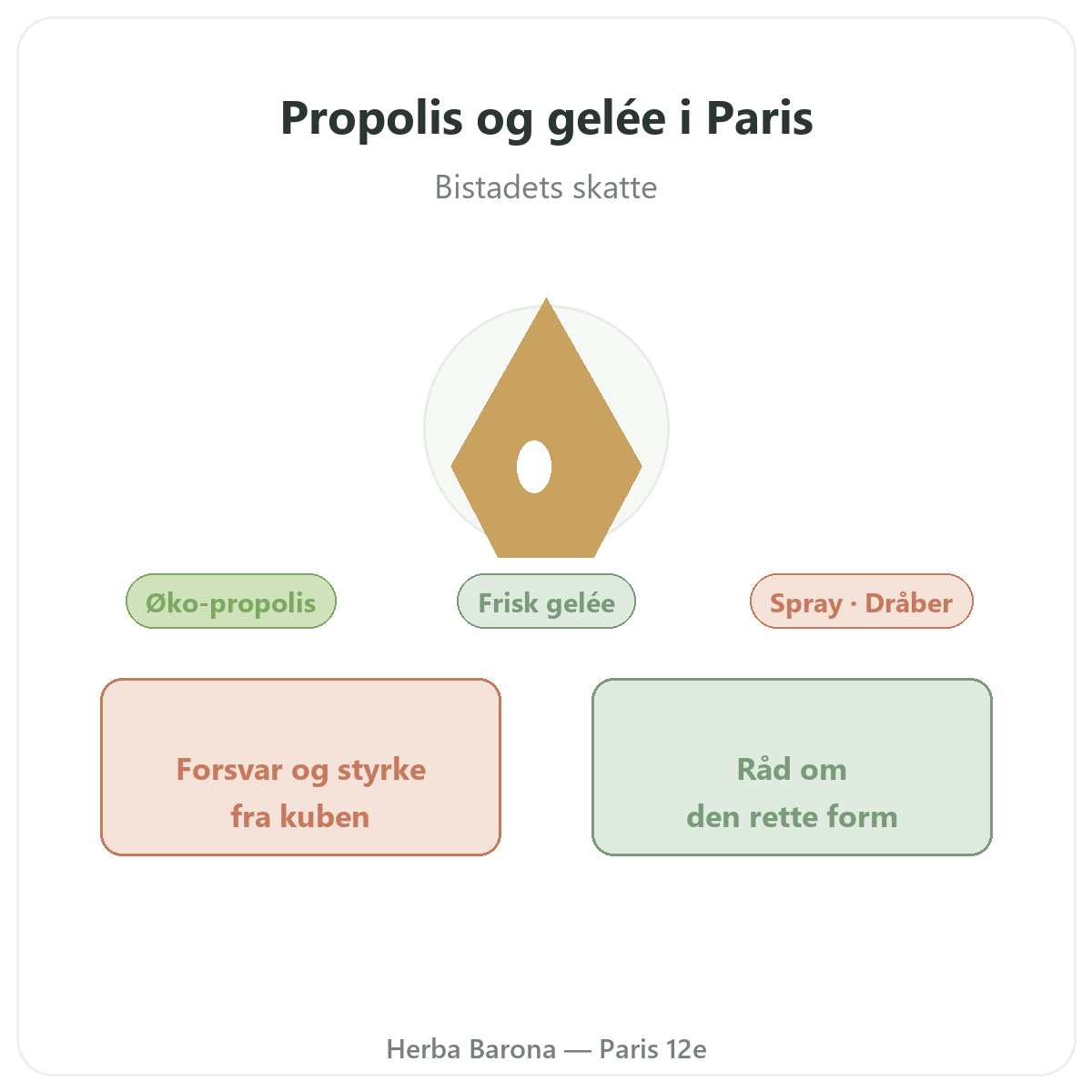 Propolis og kongegelé Paris Paris - præsentation af mærket hos Herba Barona Paris 12