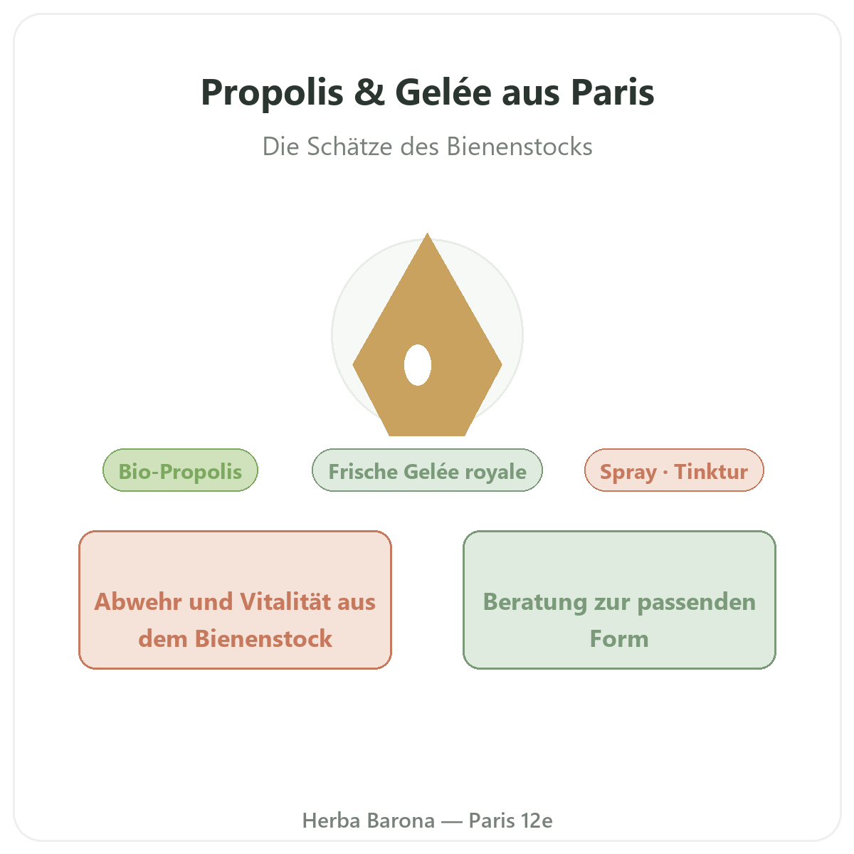 Propolis und Gelée royale Paris - Vorstellung der Marke bei Herba Barona Paris 12e
